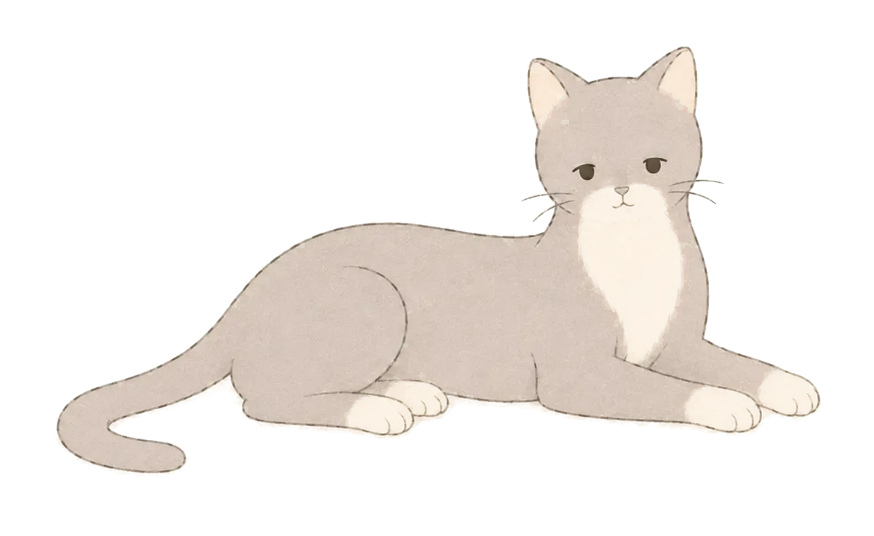静かにこちらを見つめながら横たわる、灰色の猫